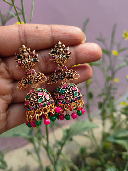 Sauth indian type earrings design multicolour
